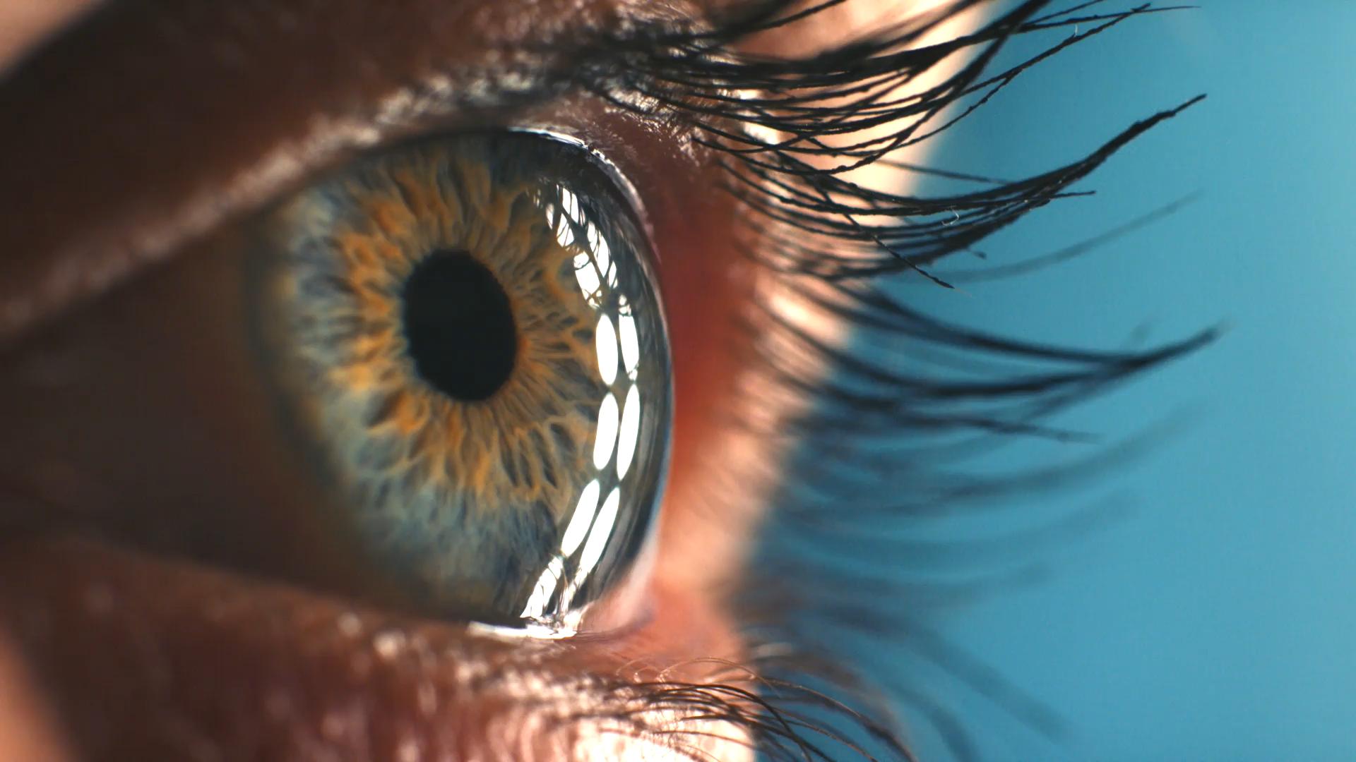 optica-en-villava_5.jpeg optica en villava 5